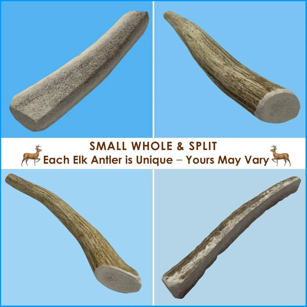 Hign-concerned Elk Antler Dog Chews Natural Long Lasting