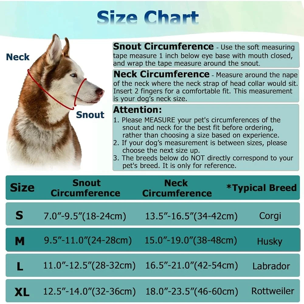 Fujian No Pull Dog Head Halter Reflective Harness Leash