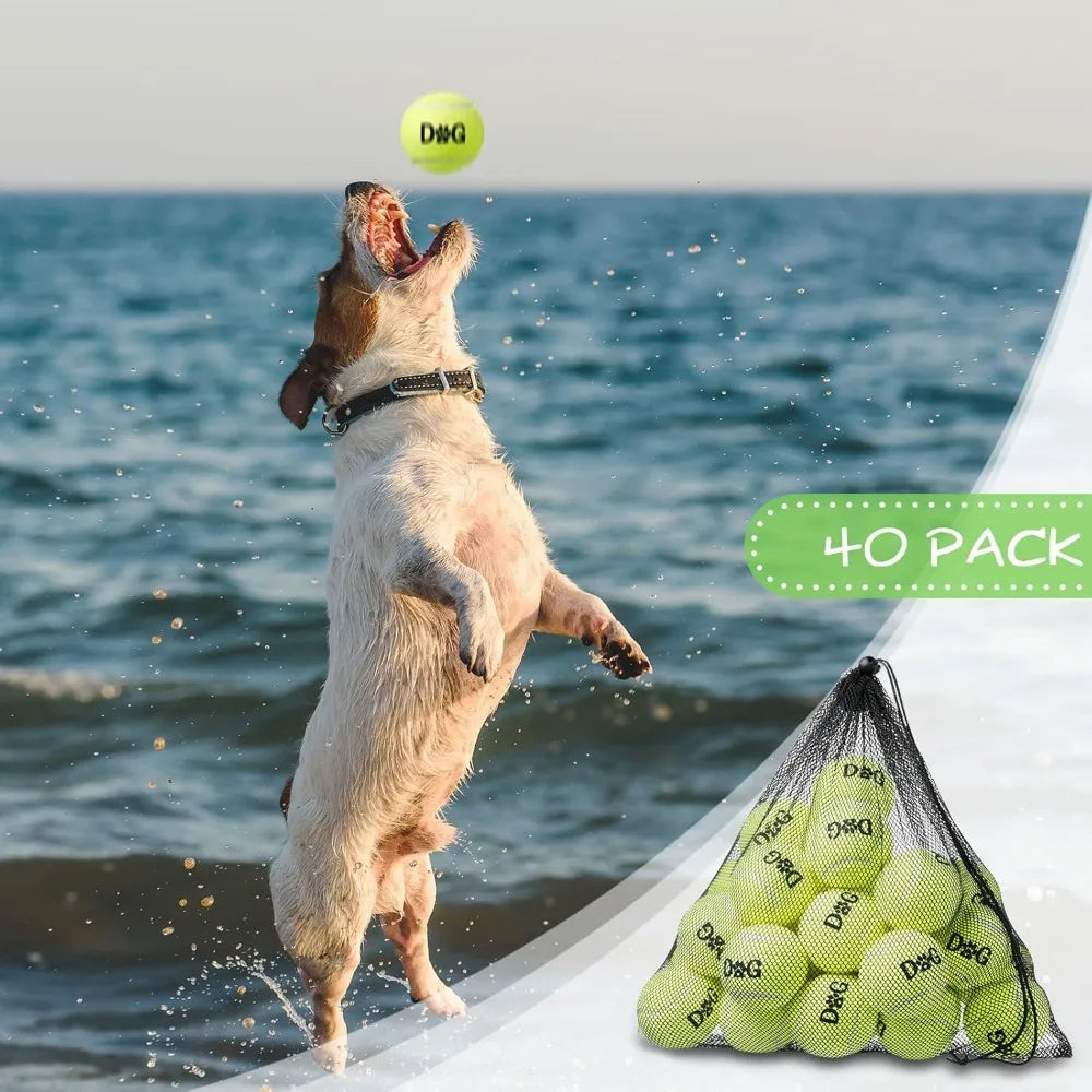 Tennis Ball Dog Toys Bulk Pack Carry Bags Interactive Fetch