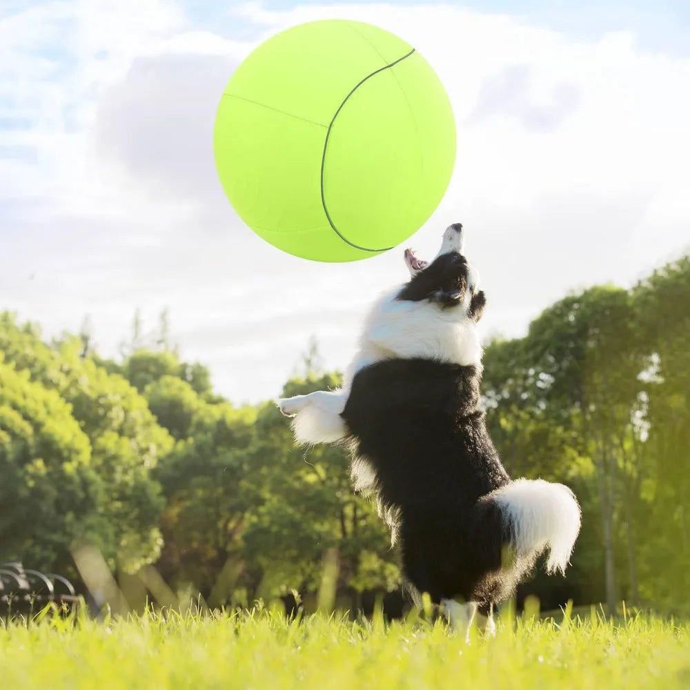 Hign-concerned Premium SuperMultipurpose Herding Ball For Dogs And Horses Durable