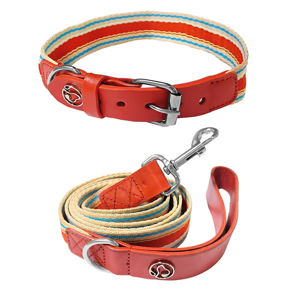 ZhejiangDog Adjustable Dog Collar And Leash Set For Dogs