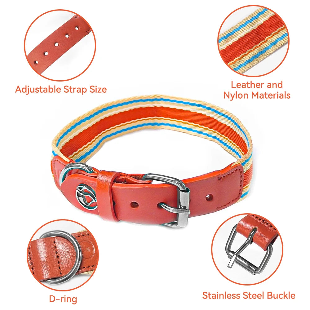 ZhejiangDog Adjustable Dog Collar And Leash Set For Dogs
