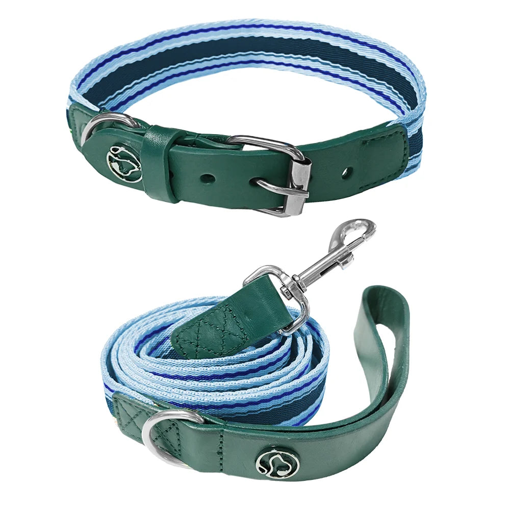 ZhejiangDog Adjustable Dog Collar And Leash Set For Dogs