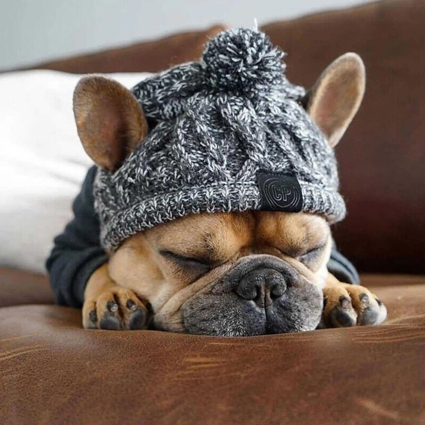 YTYINCN Winter Warm Dog Hats Windproof Knitting for Small Dogs