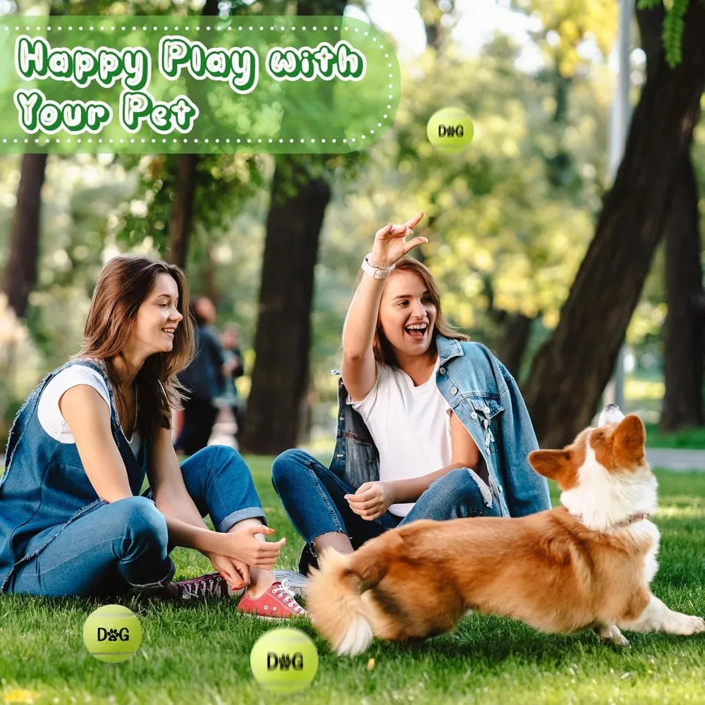 Tennis Ball Dog Toys Bulk Pack Carry Bags Interactive Fetch