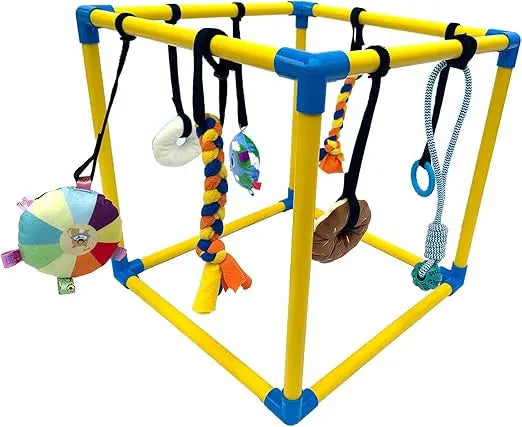 Hign-concerned Chemical Dewonch Ultra-Durable Puppy-Enrichment Play-Gym With Toys