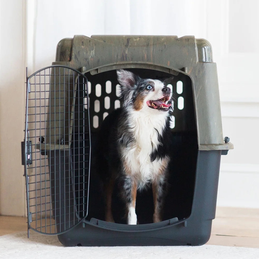 Hign-Concerned Dog Kennel 360 Degree Ventilation Crate