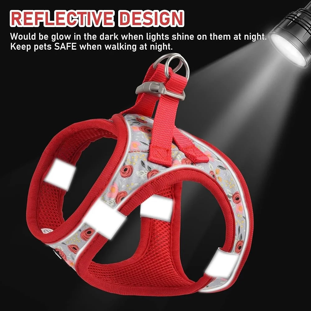 Fujian Adjustable Small Dog Harness Leash Set Reflective ID