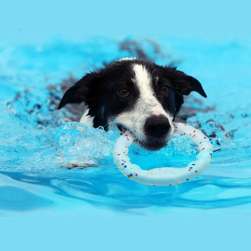 ETPU Ball Dog Toy Bite Resistant Light Chew Ball Interactive Flying Toy For Dogs