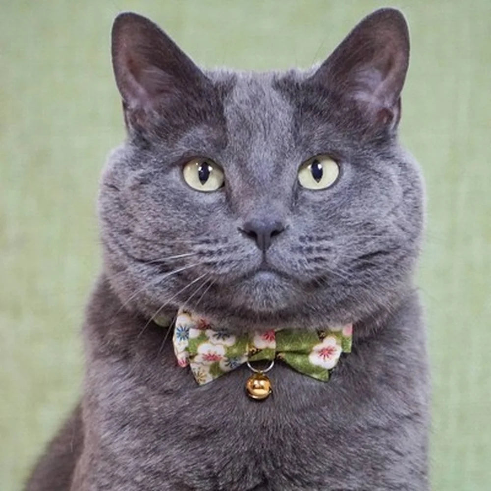 DUTRIEUX Handcrafted Bow Tie Cat Collar Breakaway Durable