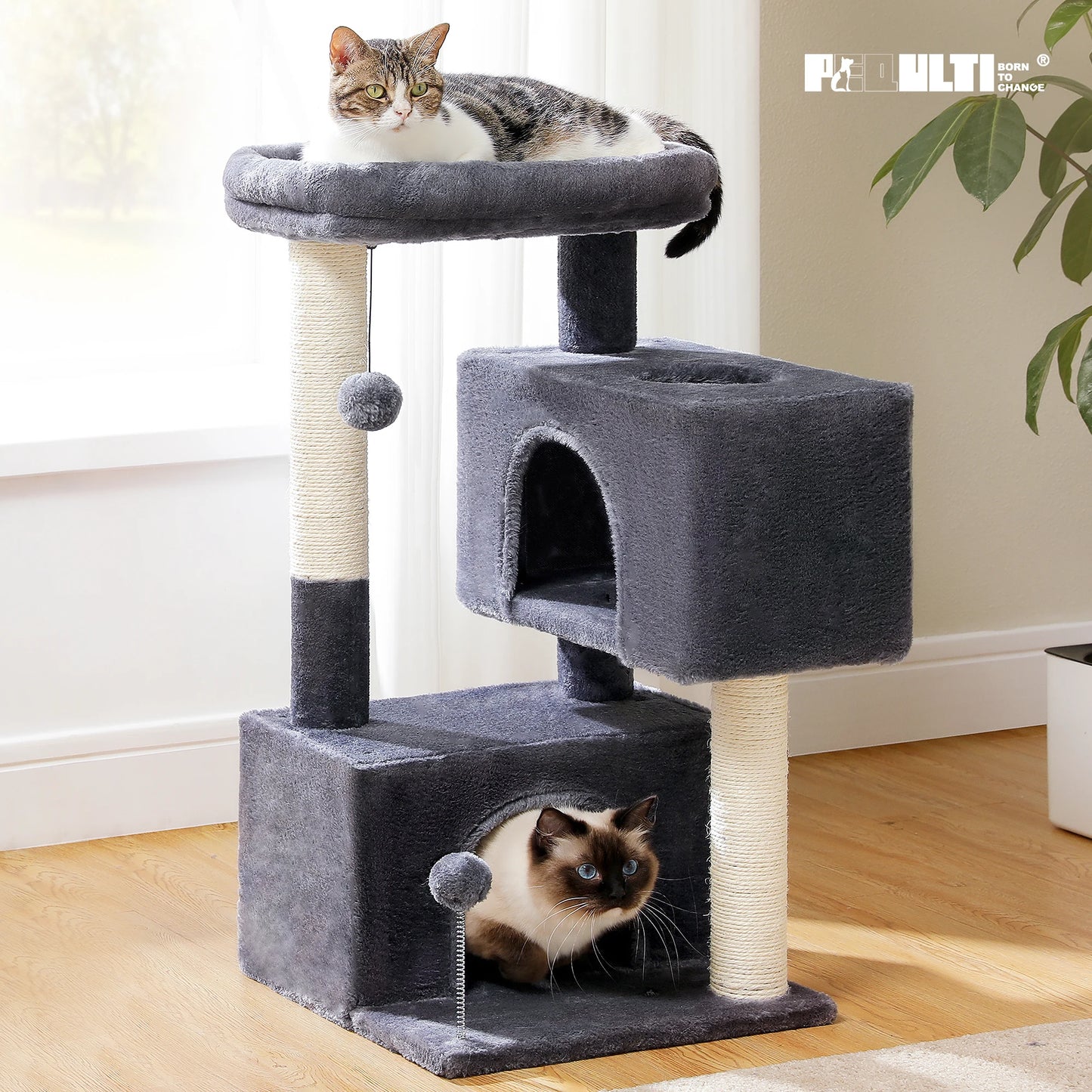 PAWZ Road Multi Level Cat Tree With Spacious Condos