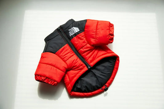 Zhejiang InsulatedThermal WinterDownCoat AllWeatherProtection ForPetLovers UltraWarm