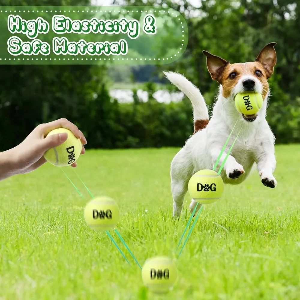 Tennis Ball Dog Toys Bulk Pack Carry Bags Interactive Fetch