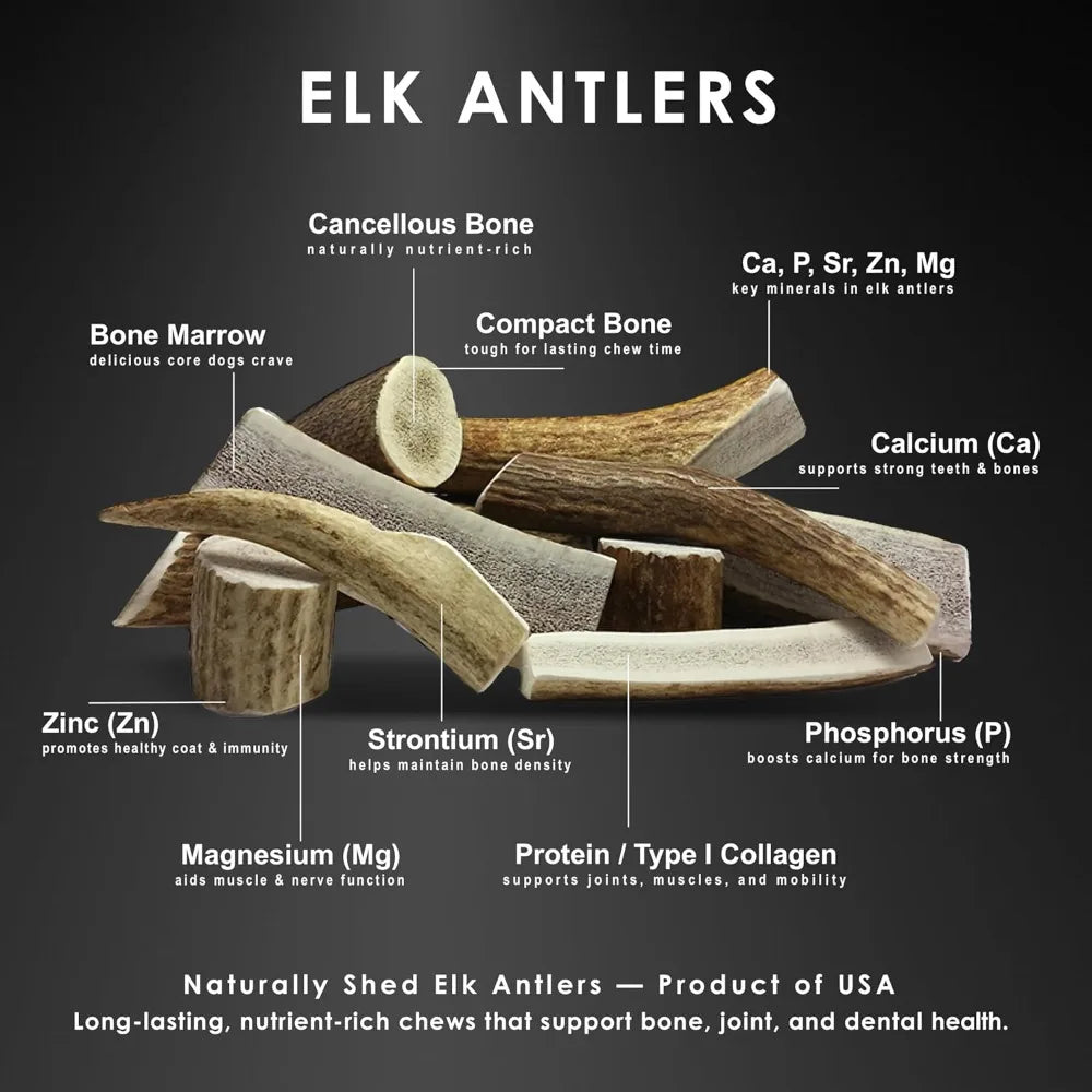 Hign-concerned Elk Antler Dog Chews Natural Long Lasting