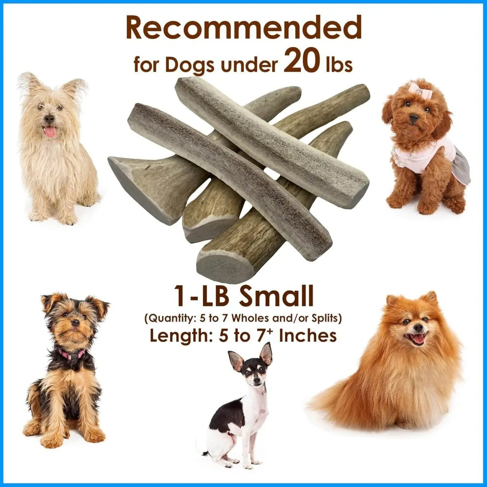 Hign-concerned Elk Antler Dog Chews Natural Long Lasting