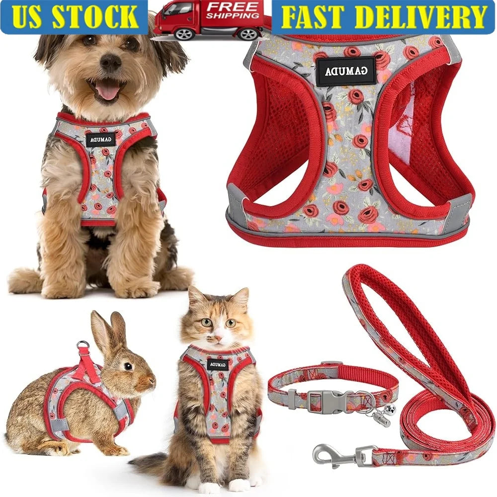 Fujian Adjustable Small Dog Harness Leash Set Reflective ID