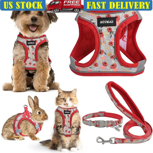 Fujian Adjustable Small Dog Harness Leash Set Reflective ID