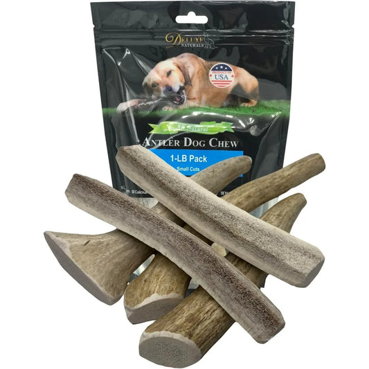 Hign-concerned Elk Antler Dog Chews Natural Long Lasting