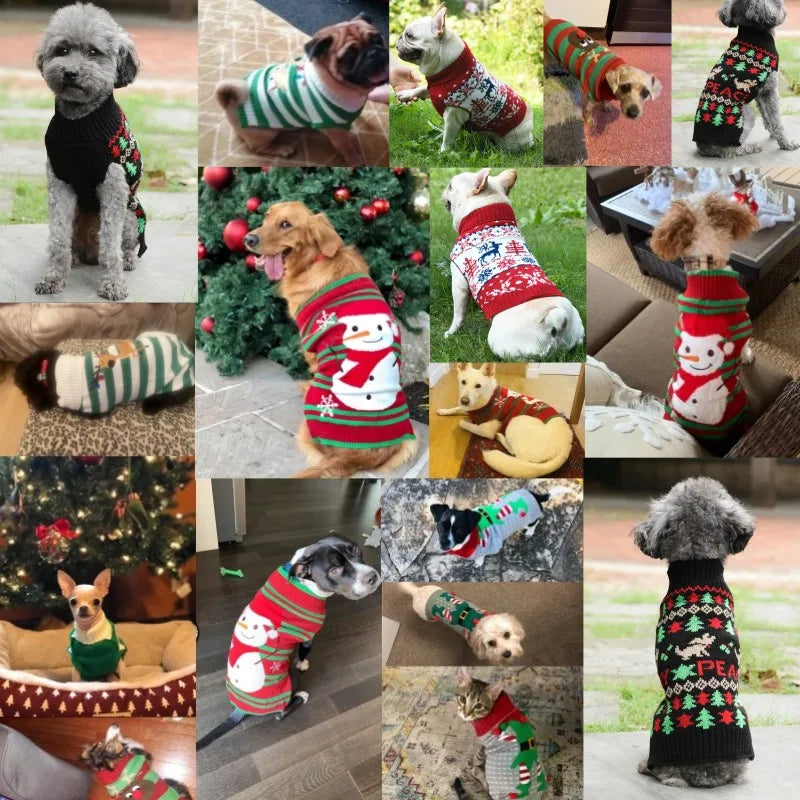 CN Guangdong Wool Winter Dog Sweater Coat Striped Knitted