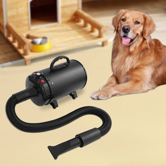 2200W Pet Hair Dryer With Adjustable Wind Speed For Pets