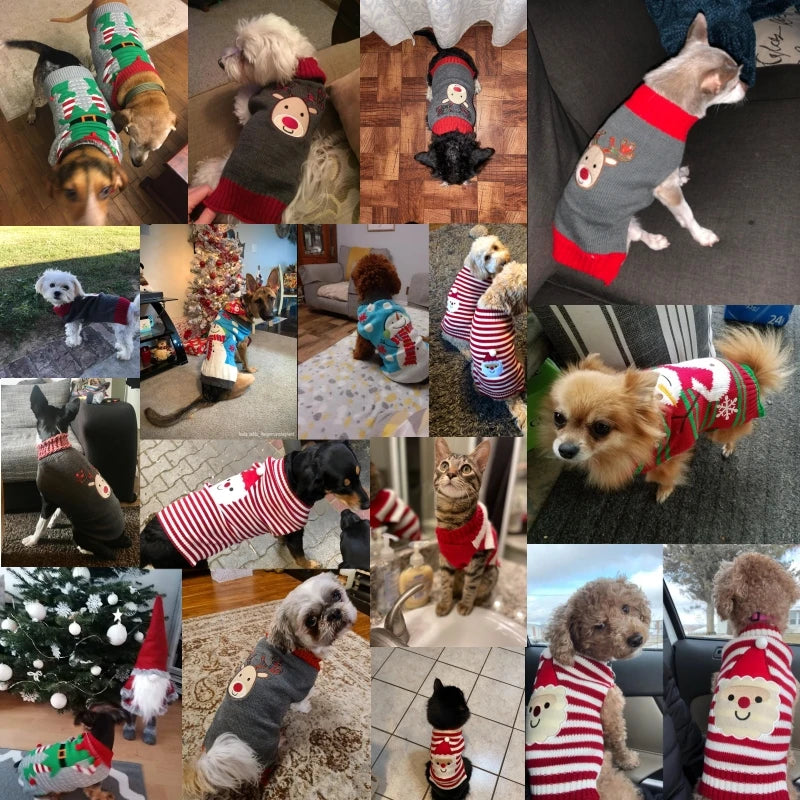 CN Guangdong Wool Winter Dog Sweater Coat Striped Knitted