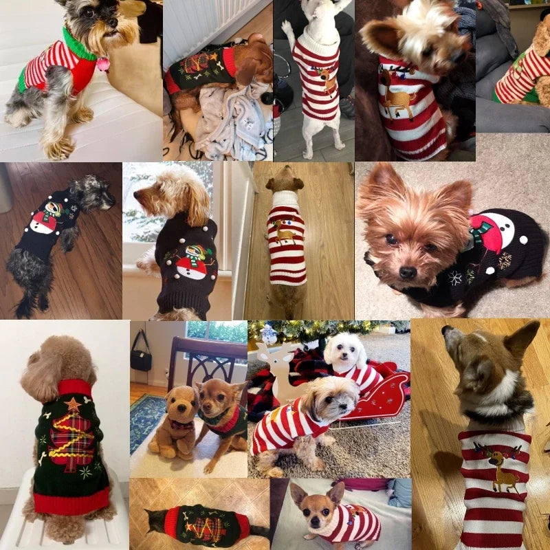 CN Guangdong Wool Winter Dog Sweater Coat Striped Knitted