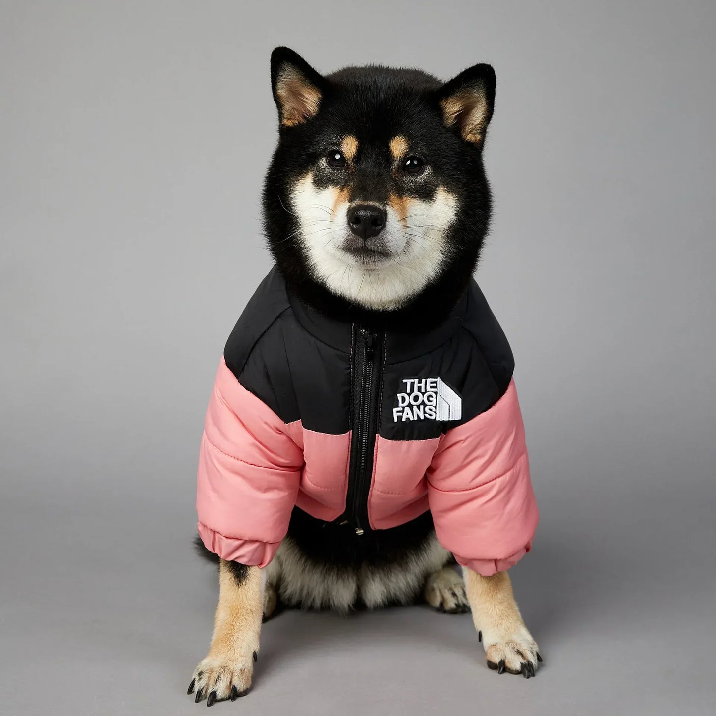 Zhejiang InsulatedThermal WinterDownCoat AllWeatherProtection ForPetLovers UltraWarm