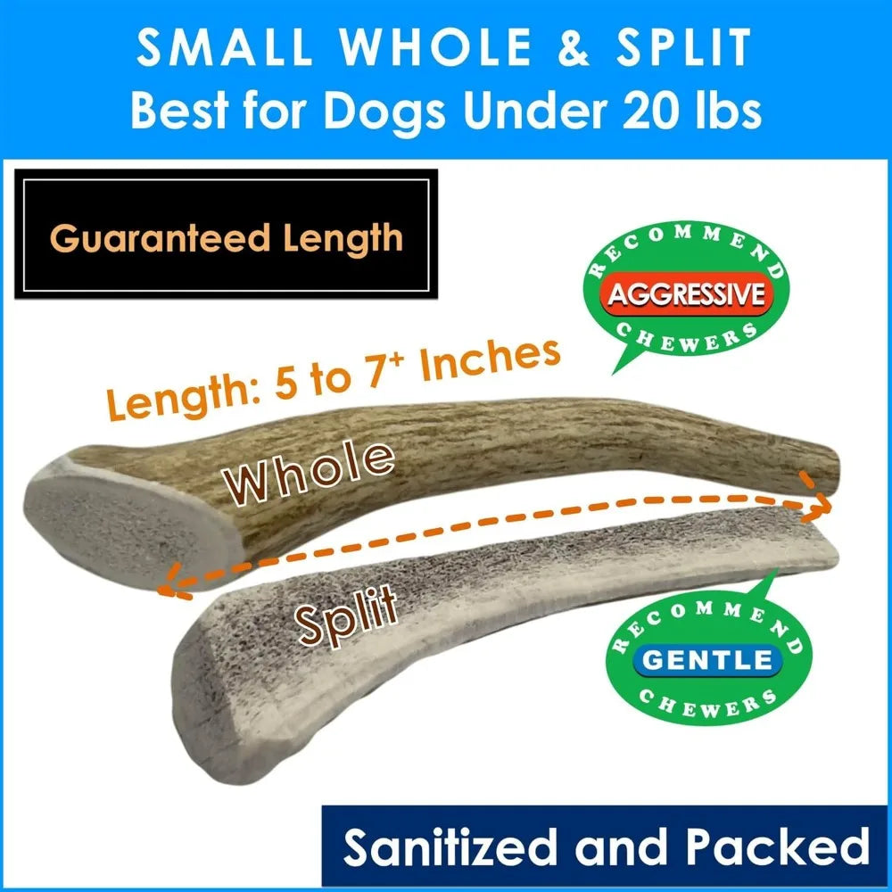 Hign-concerned Elk Antler Dog Chews Natural Long Lasting