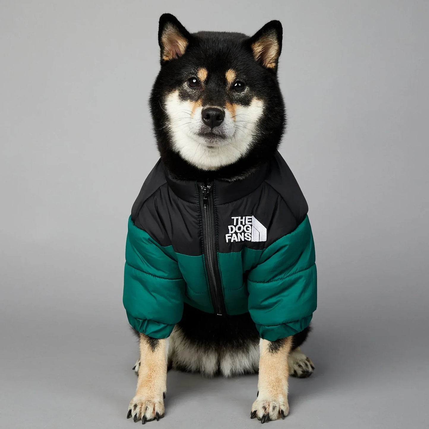 Zhejiang InsulatedThermal WinterDownCoat AllWeatherProtection ForPetLovers UltraWarm