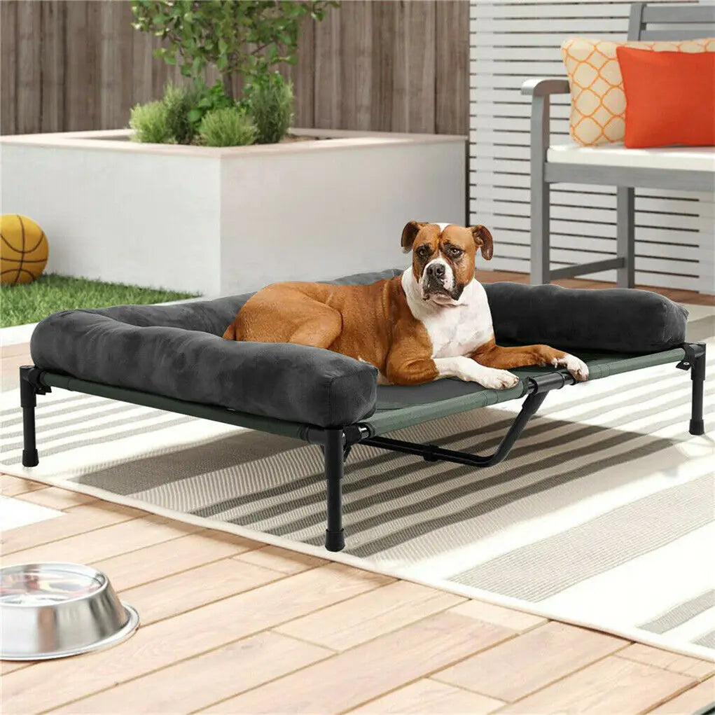BINGOPAWCN Elevated Dog Bed Lounger For Indoor Outdoor