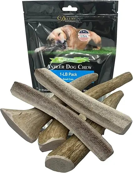 Hign-concerned Elk Antler Dog Chews Natural Long Lasting