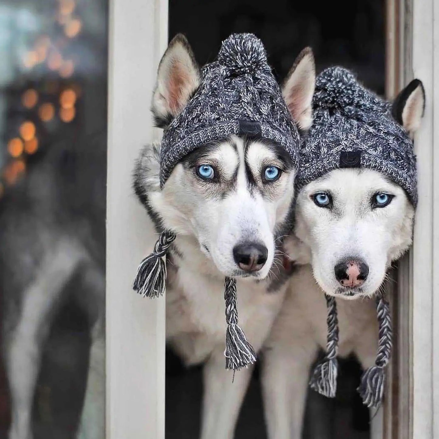 YTYINCN Winter Warm Dog Hats Windproof Knitting for Small Dogs