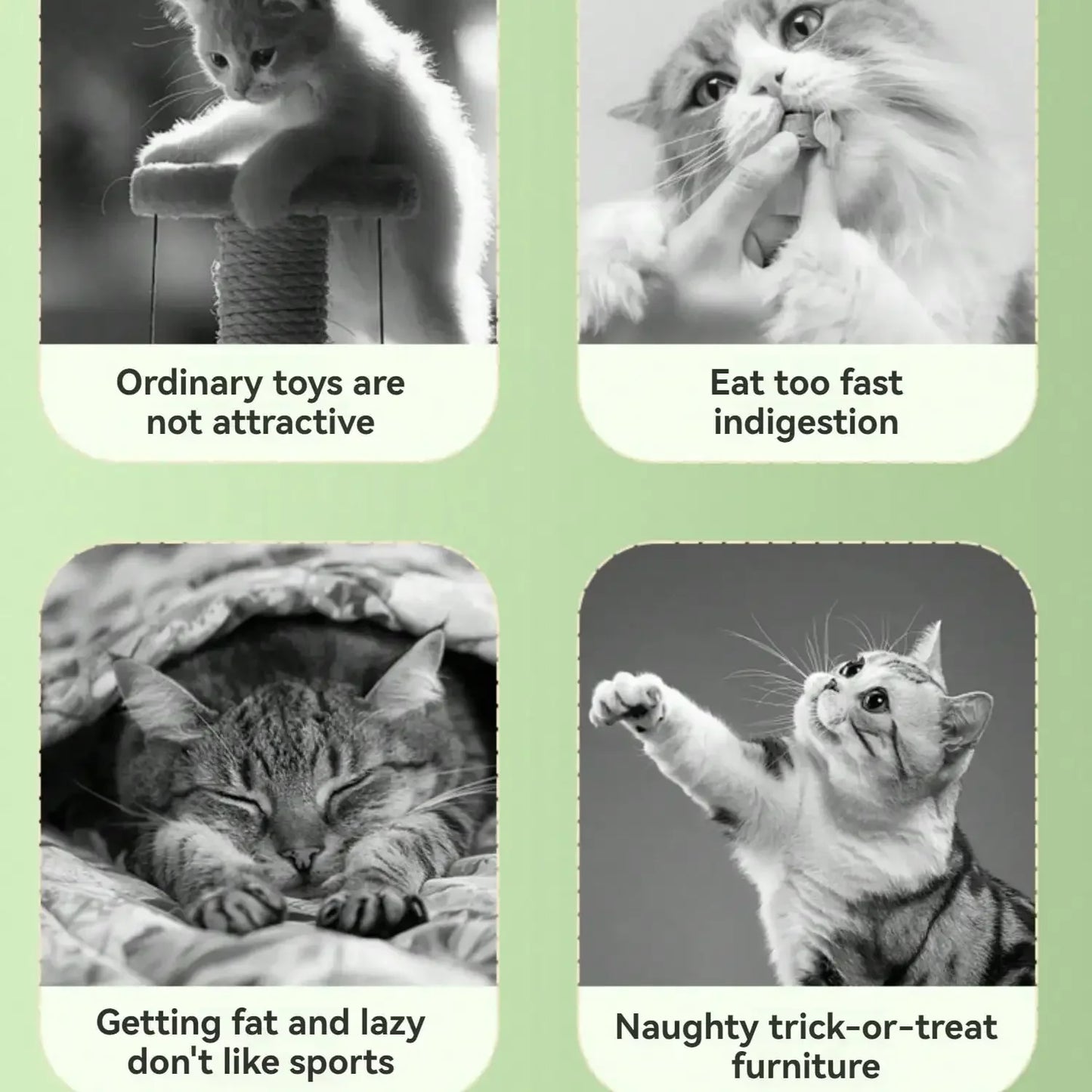 Guangdong Interactive 360 Rotating Pet Treat Dispensing Toy