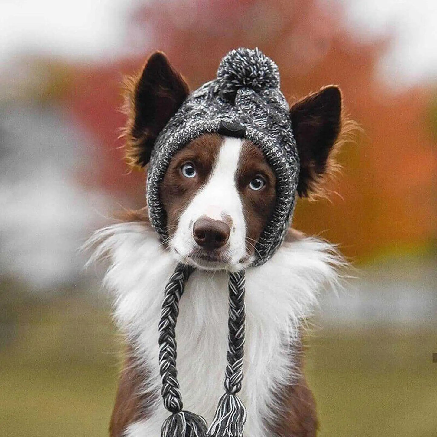 YTYINCN Winter Warm Dog Hats Windproof Knitting for Small Dogs