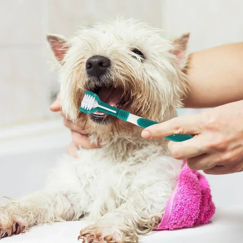 Hign-concerned ThreeSided Pet Toothbrush For Dogs And Cats ComprehensiveHygienePro