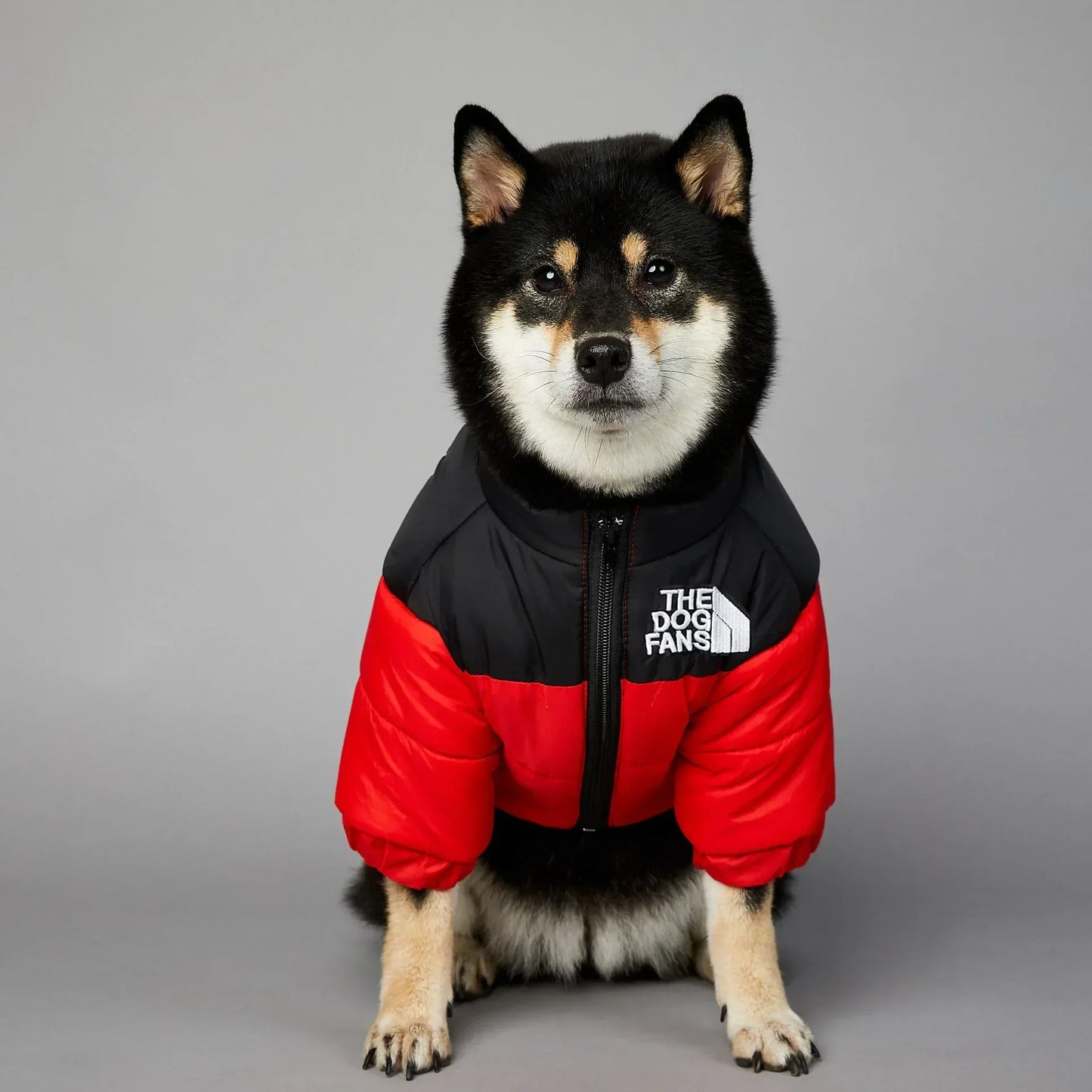 Zhejiang InsulatedThermal WinterDownCoat AllWeatherProtection ForPetLovers UltraWarm