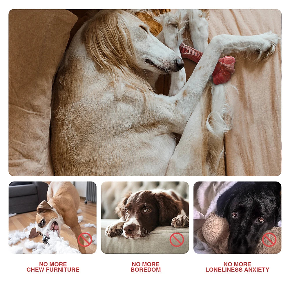 MASBRILL Indestructible Bone Dog Toy For Aggressive Chewers