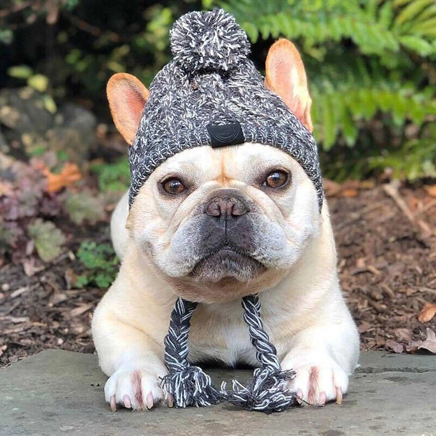YTYINCN Winter Warm Dog Hats Windproof Knitting for Small Dogs