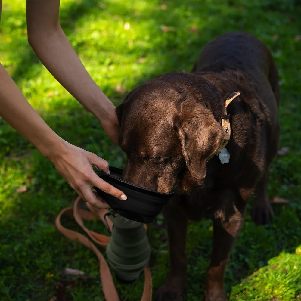 XMSJ 2in1 Collapsible Dog Bowl Water Bottle Travel
