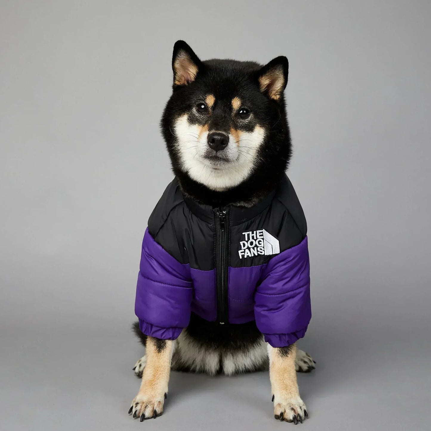 Zhejiang InsulatedThermal WinterDownCoat AllWeatherProtection ForPetLovers UltraWarm