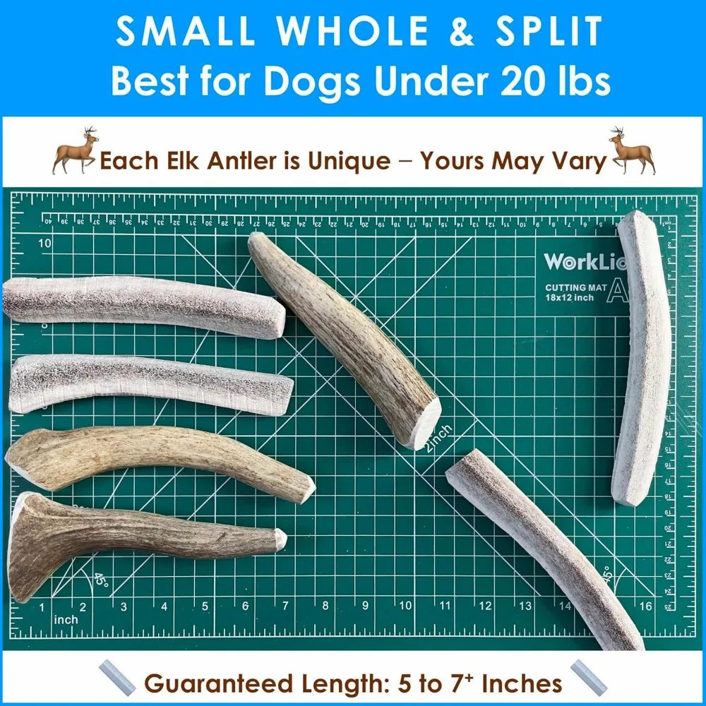 Hign-concerned Elk Antler Dog Chews Natural Long Lasting