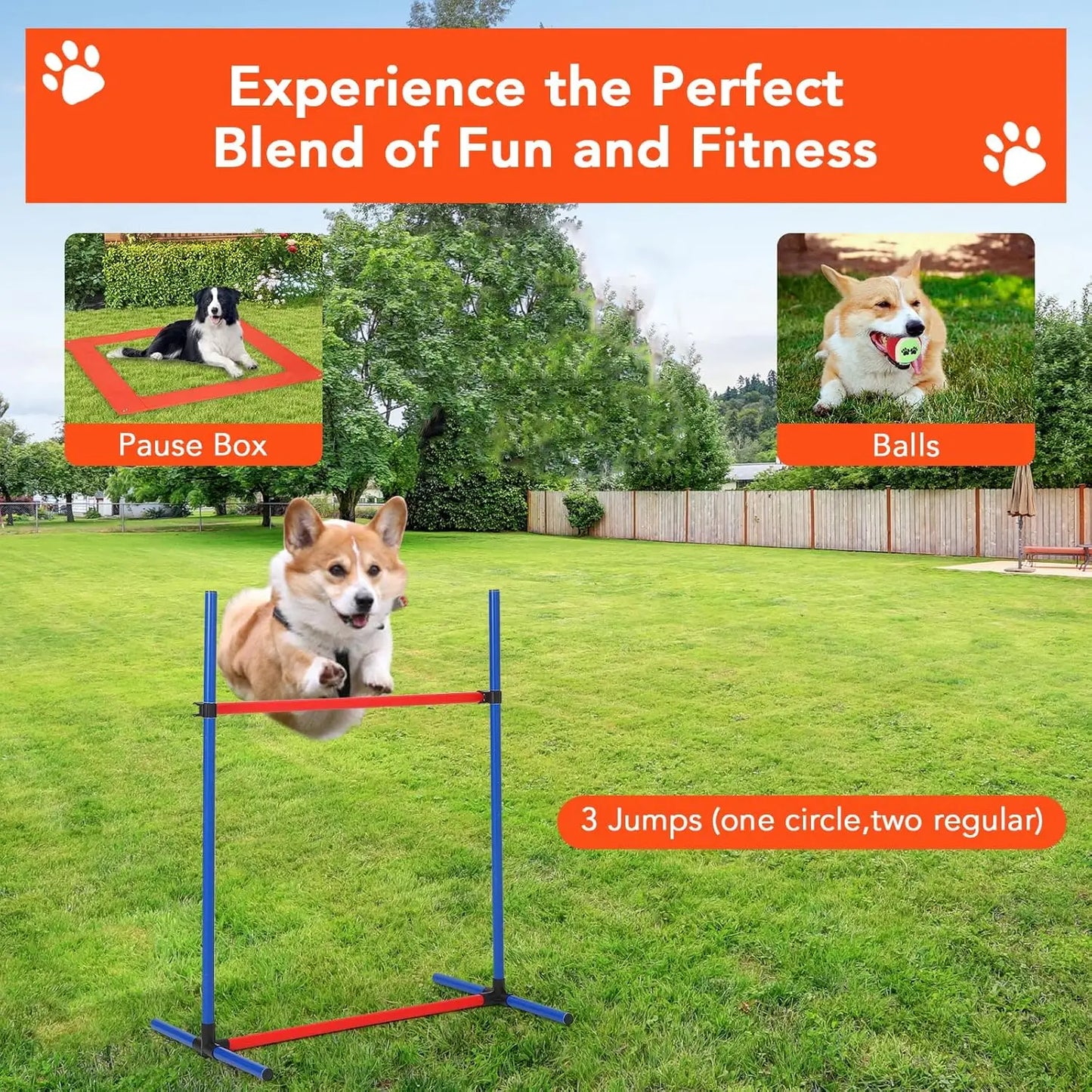 HiMISSH 87 Piece Dog Agility Training Equipment Set Outdoor