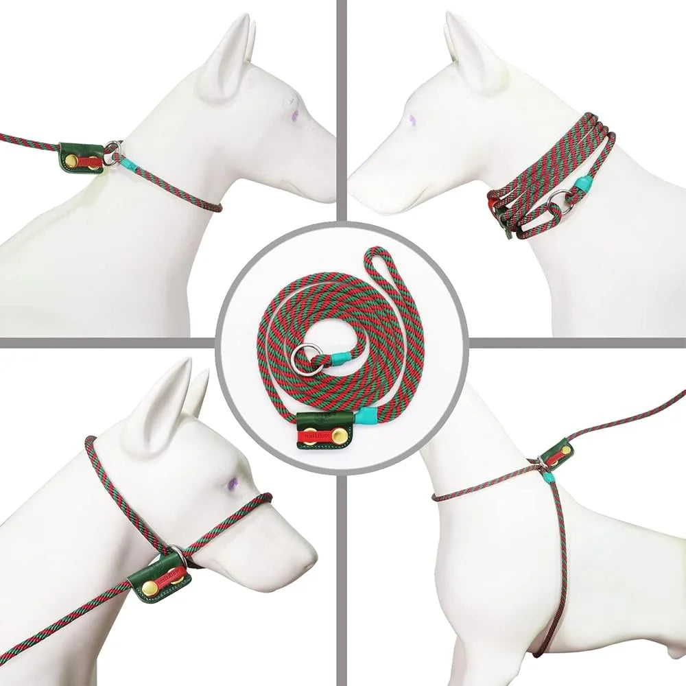 CN Fujian Slip On Lead Dog LeashSystem No Pull Harness