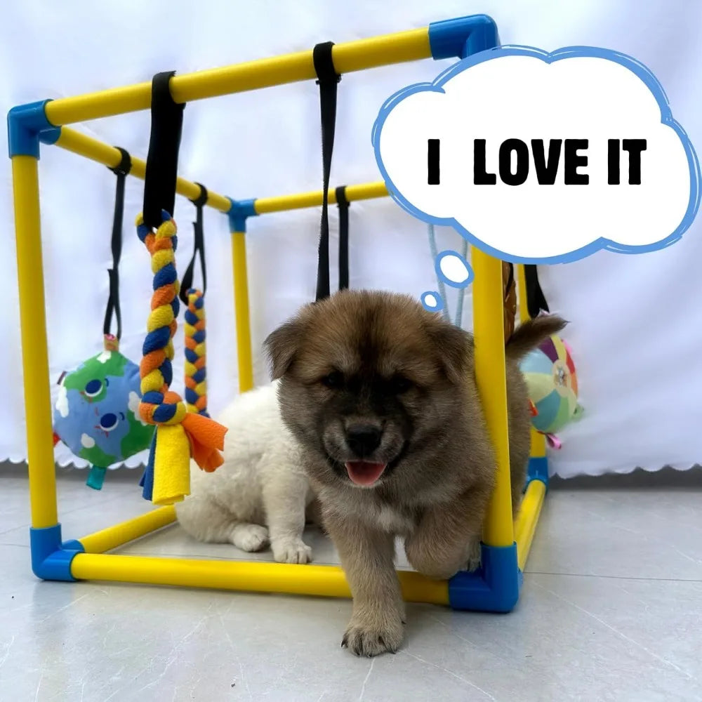 Hign-concerned Chemical Dewonch Ultra-Durable Puppy-Enrichment Play-Gym With Toys