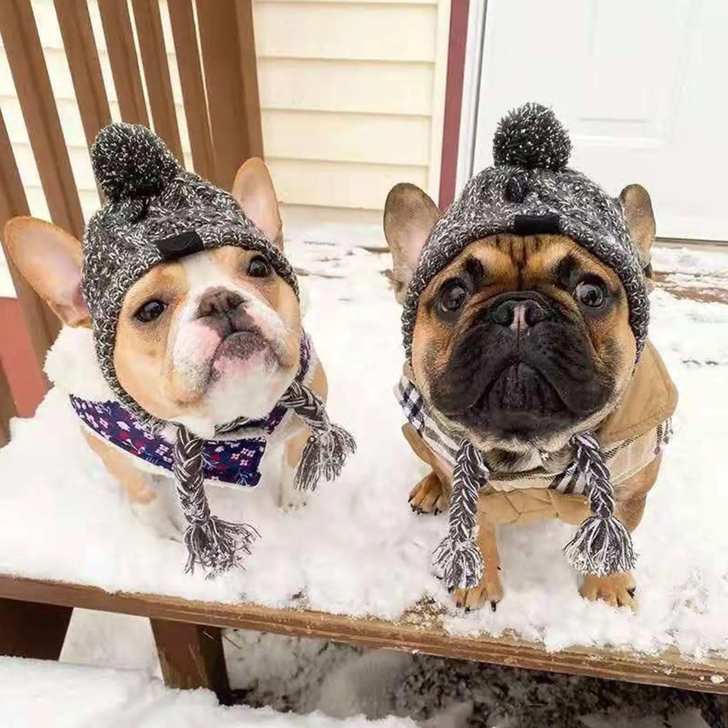 YTYINCN Winter Warm Dog Hats Windproof Knitting for Small Dogs