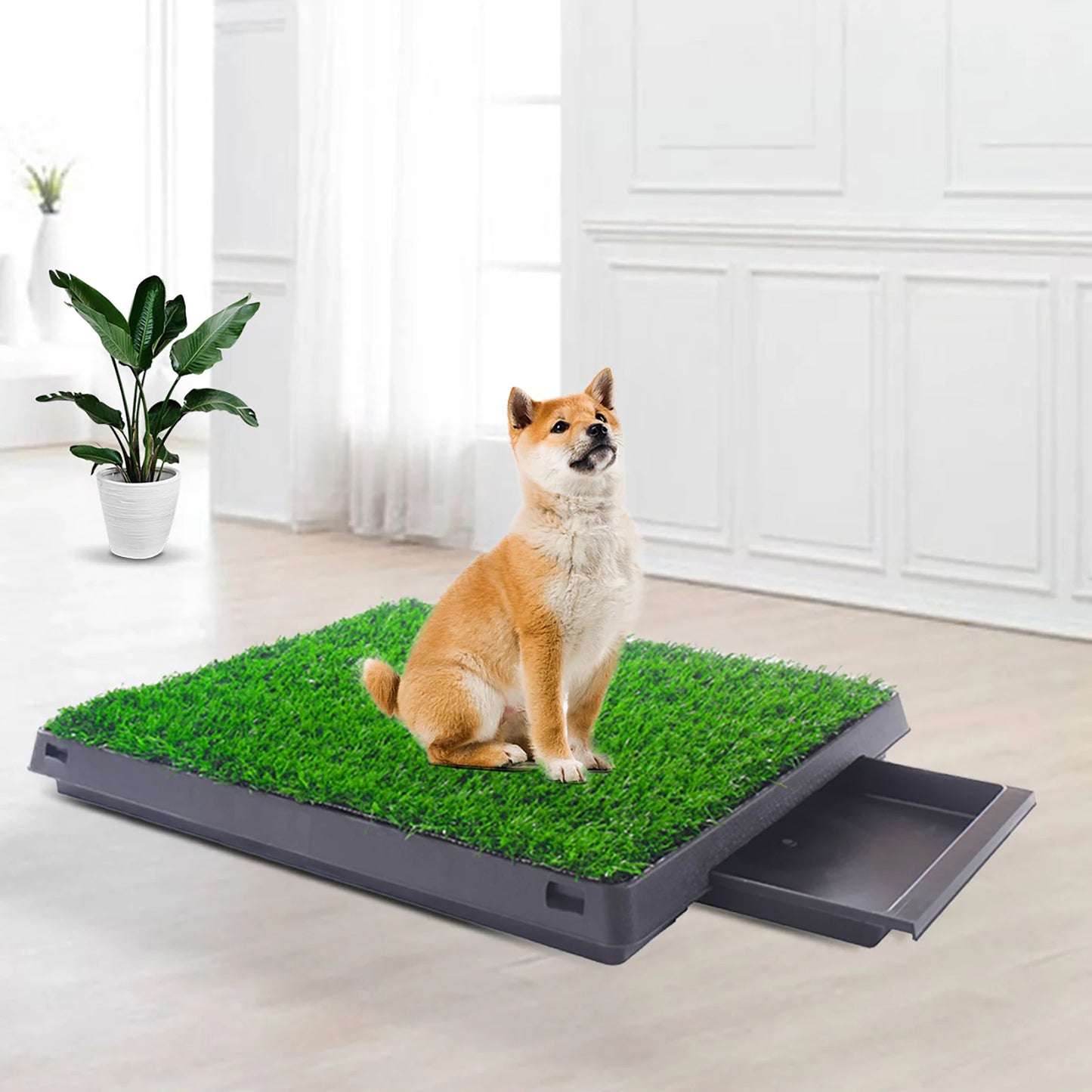 Guangdong Realistic Artificial Grass Rug Potty Training