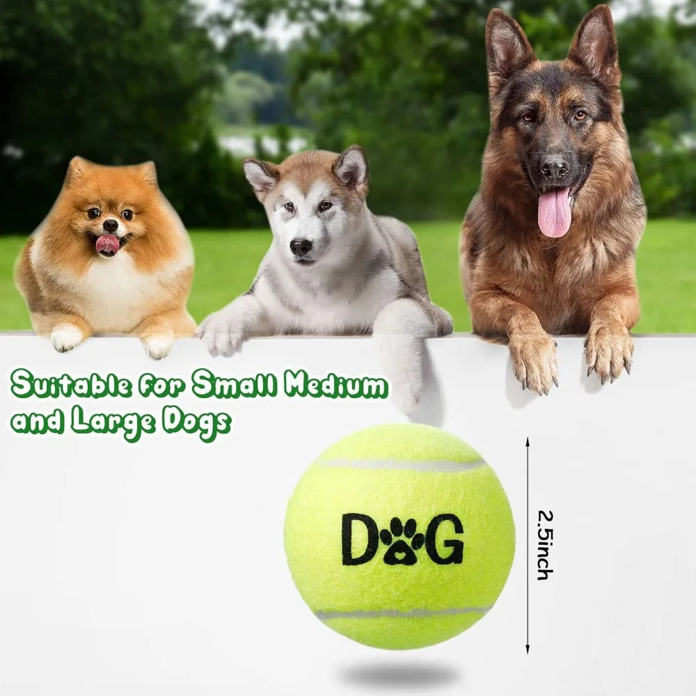 Tennis Ball Dog Toys Bulk Pack Carry Bags Interactive Fetch
