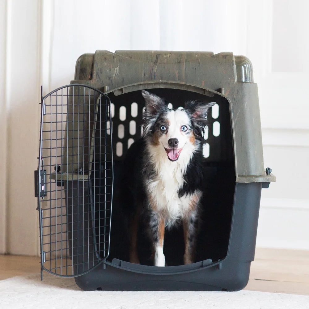 Hign-Concerned Dog Kennel 360 Degree Ventilation Crate